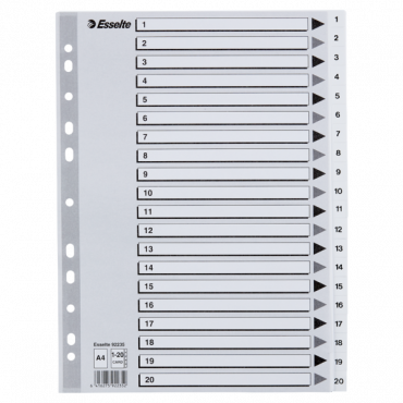 Esselte kartonkirekisteri 1-20 A4 valkoinen | Porin Konttorikone Oy
