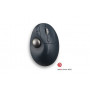 Kensington Pro Fit® Ergo TB550 Trackball pallohiiri, musta | Porin Konttorikone Oy