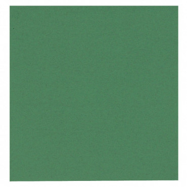 Abena GASTRO-LINE lautasliina vihreä 24x24 2krs ¼-taitto 100kpl | Porin Konttorikone Oy