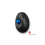 Kensington Pro Fit® Ergo TB450 Trackball pallohiiri  sininen | Porin Konttorikone Oy