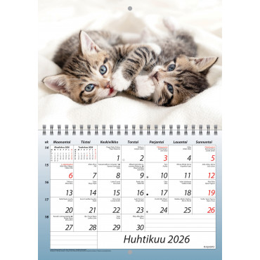 Kisut A5 | Porin Konttorikone Oy