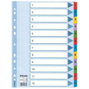 Esselte kartonkirekisteri Mylar 1-12 | Porin Konttorikone Oy