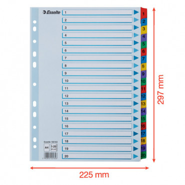 Esselte kartonkirekisteri Mylar 1-20 | Porin Konttorikone Oy